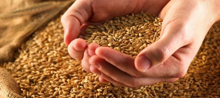 environmentally-friendly-nitrogen-generation.jpg